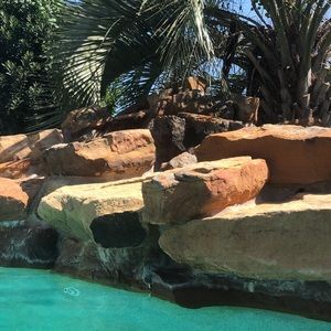 ALL ITEMS COME FROM A SMOKE AND PET FREE HOME